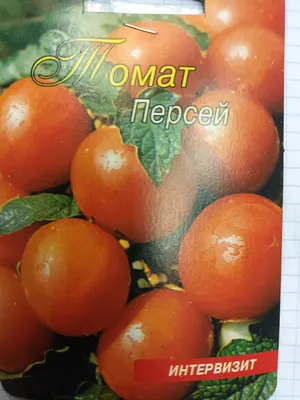 Что если, для экономии места, не пикировать помидоры по отдельным  горшочкам? Какая вырастет рассада помидоров | Есть время под солнцем | Дзен