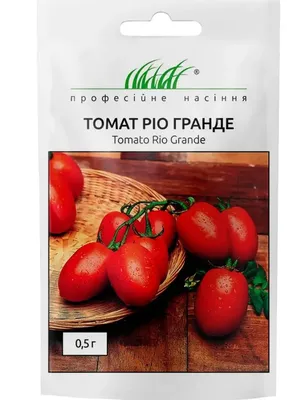 Семена ПАРТНЕР КАПУСТА Б/К ГЛОРИЯ F1 (0,1Г В АМП) купить по цене 95 ₽ в  интернет-магазине KazanExpress