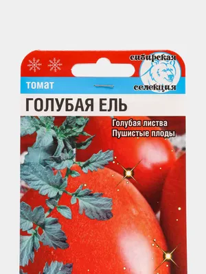 Семена Томат \"Голубая ель\", Сибирский сад, 20 штук купить по цене 186.67 ₽  в интернет-магазине KazanExpress