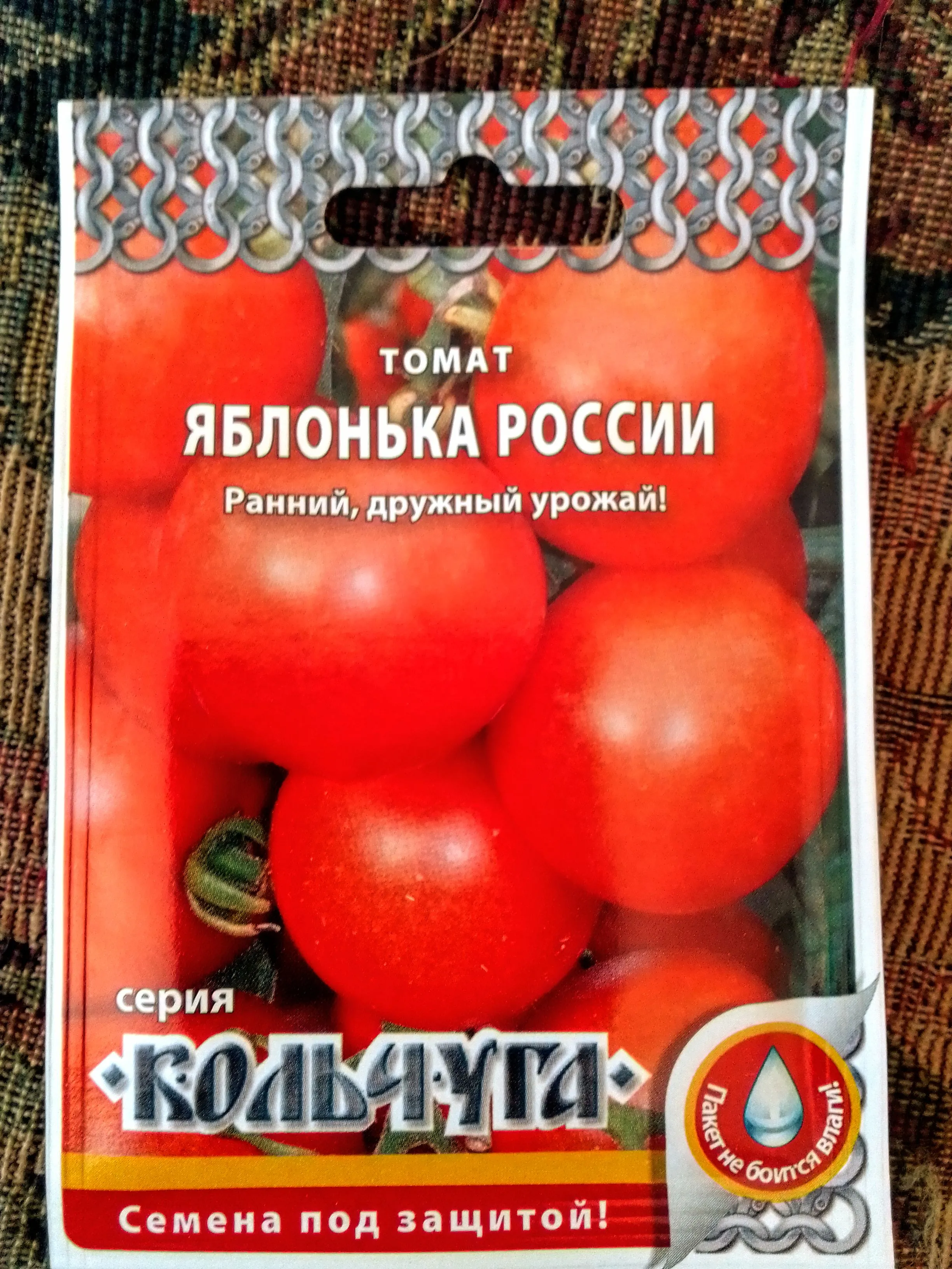 Яблонька россии томат фото урожайность. Томат Яблонька России. Помидоры Кольчуга.