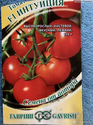 Томат Интуиция F1 Гавриш - «Томат Интуиция F1 Гавриш отличный кистевой  гибрид для маринования. Красивый и урожайный » | отзывы