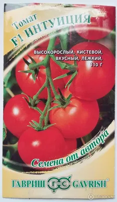 Что делать, если рассада сломалась, или история про томат \"Интуиция\" с  бородой | Оксана Бухгалтерский огород | Дзен