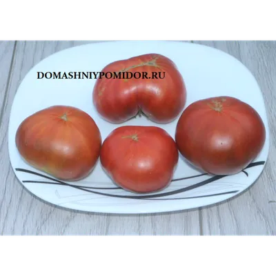 Сибирский сад Семена томат \"Кардинал\"