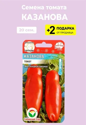 Томат Казанова Деловой Енот 107848177 купить за 156 ₽ в интернет-магазине  Wildberries