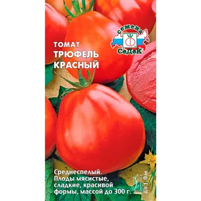 Рассада Казанова и другие — купить в Красноярске. Овощи на  интернет-аукционе Au.ru