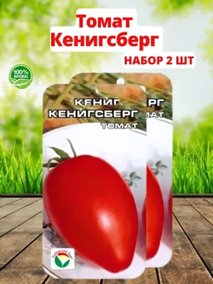 Кенигсберг перцевидный | Сортовые томаты 37