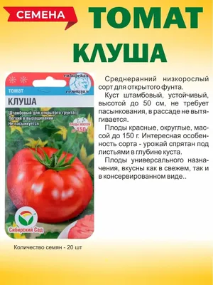 Томат Клуша штамбовый неприхотливый \"Сибирский Сад\" 20 шт купить по цене 36  ₽ в интернет-магазине KazanExpress