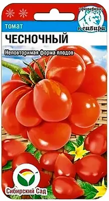 Желтеют и сохнут листья у помидор - Agro-Market24