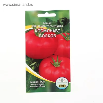 Томаты сорта Космонавт Волков: рано созревают, хорошо хранятся и не болеют  | Деревенская душа | Дзен
