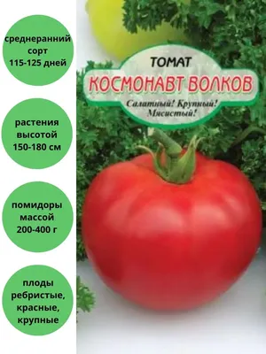 Семена Томат \"Космонавт Волков\", среднеспелый, 0,05 г серия ХИТ х3  (2869466) - Купить по цене от 8.50 руб. | Интернет магазин SIMA-LAND.RU