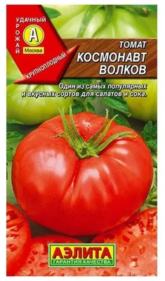 Томат Космонавт Волков 0,1 г Seedera: продажа, цена в Киеве. Семена и  рассада овощных культур от \"Сучасна Дача — семена овощей, семена цветов,  средства защиты растений, капельный полив, инструмент\" - 1741011149