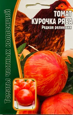 Семена Яскрава Томат Космонавт Волков 0.1 г (16184) – фото, отзывы,  характеристики в интернет-магазине ROZETKA от продавца: Garden Number One |  Купить в Украине: Киеве, Харькове, Днепре, Одессе, Запорожье, Львове