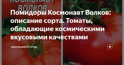 🌱 Томат (Помидор) обыкновенный Юниор по цене от 130 руб: рассада, саженцы  - купить в Москве с доставкой - интернет-магазин Все Сорта