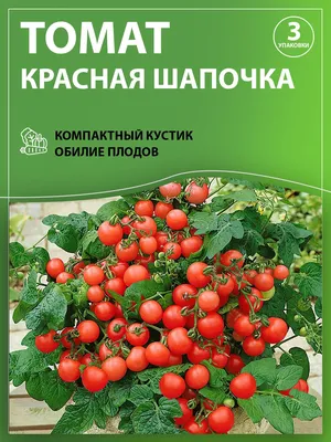 Томаты ПОИСК Агрохолдинг minicherry - купить по выгодным ценам в  интернет-магазине OZON (206030723)