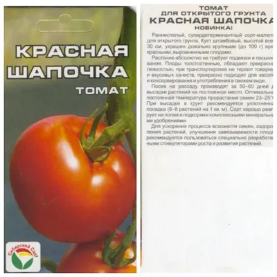 Томат сортовой Красная Шапочка. Краткий обзор, описание характеристик  Krasnaya Shapochka - YouTube