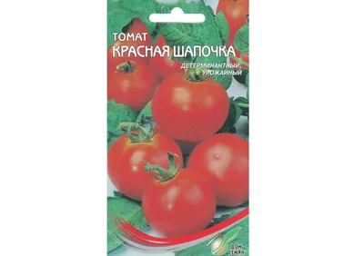 Томаты Красная Шапочка — отличный сорт для любителей вкусных помидоров |  Лайфхаки и полезные советы | Дзен