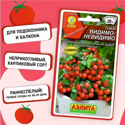 Помидоры Чио-Чио-сан: описание сорта. Настоящие томатные «конфетки» и их  выращивание | Огородные шпаргалки | Дзен