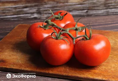Купить свежие помидоры прямиком с ветки - ЭкоФерма