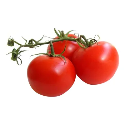 Купить помидоры на ветке 300 г, цены на Мегамаркет | Артикул: 100029011850