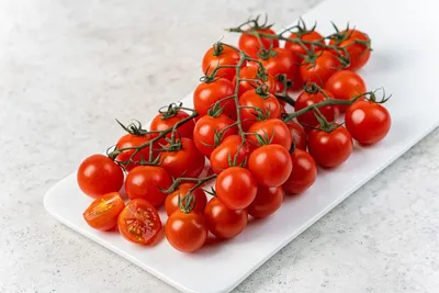 помидоры на ветке Stock Photo | Adobe Stock