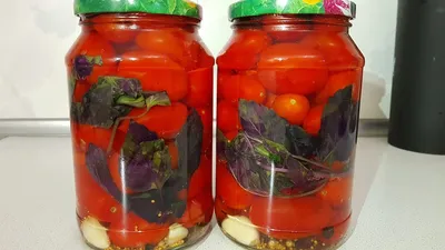 Томаты зимой не покупаем: два способа сохранить помидоры на полгода - вкус  и цвет не поменяют