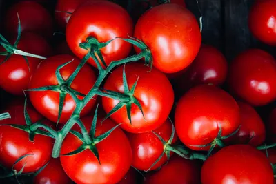 Сохраняем помидоры на зиму: готовим из них итальянский томатный соус.  Кулинарный блог