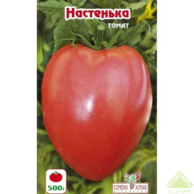 Томат Настенька 0.1г | Семена томатов | Фиалка.net