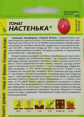 Ранний и урожайный сорт томатов Настенька | Антонов сад - дача и огород |  Дзен