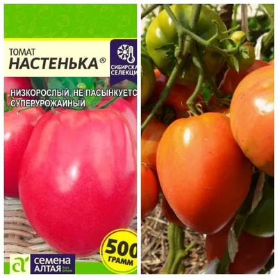 Семена томатов Настенька, Йетина мать, Карамелька, Алтайский сахарный —  купить в интернет-магазине по низкой цене на Яндекс Маркете