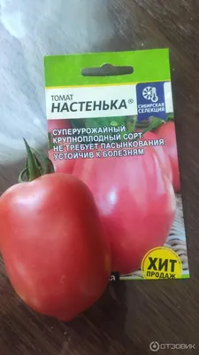 Семена томата Настенька, купить за 15.00 грн. :: Rastim