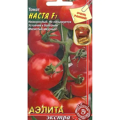 сад #огород #дача #семена #семенаалтая #томаты #помидоры | TikTok
