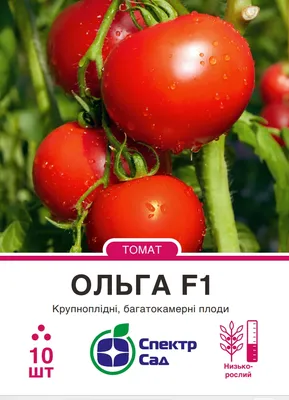 Томат Ольга 15шт | Семена томатов | Фиалка.net