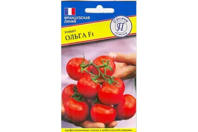Семена томат ольга f1 (пр) 5шт купить в интернет-магазине, доставка по  России