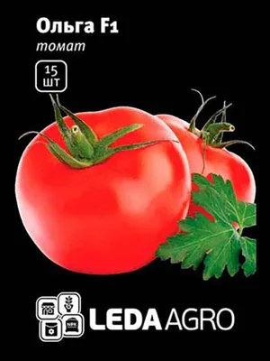 Характеристики и описание гибрида томатов Оля F1 - YouTube