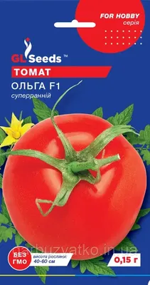 Томат Ольга F1 (Vilmorin) - купить семена из Франции оптом - АГРООПТ