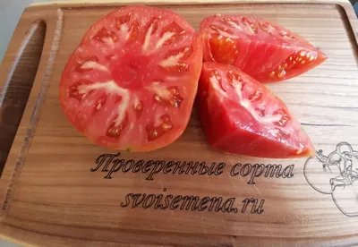 Сорт томатов - Ольга - Супер урожайный крупноплодный красный сорт.