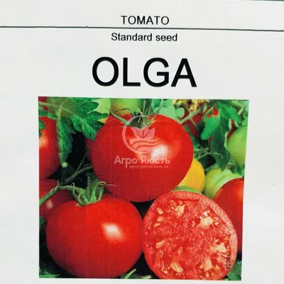 Семена Томат Ольга F1 GL SEEDS 0.15 г (ID#1766968169), цена: 7 ₴, купить на  Prom.ua