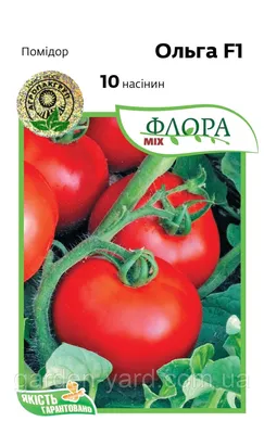 Купить семена желтого томата Оля по выгодной цене с доставкой почтой по  Украине | Ogurki.com