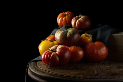 Отличный томат для открытого грунта Гибрид ОЛЯ F1 Обзор сорта - YouTube