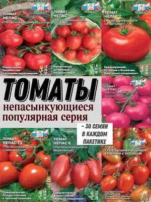 Томаты Семена Алтая Запуняка, Демидов, Огородный колдун СА - купить по  выгодным ценам в интернет-магазине OZON (1264870517)