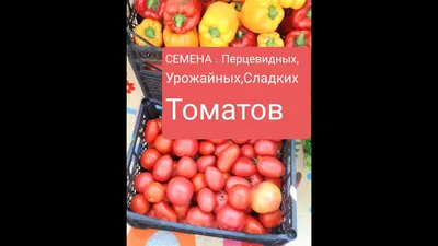 Беккер Россия - 😱Томатные чудеса Собрали ТОП-10 необычных сортов томатов,  которые станут для вас настоящим открытием! Не бойтесь экспериментов —  сажайте!😋 📌Томат Изумрудное яблоко 📌Томат Инжир красный 📌Томат Сахар  белый 📌Томат Перцевидный