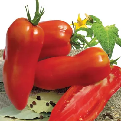 Семена томатов (помидор) Перцевидный Красный купить в Украине | Веснодар
