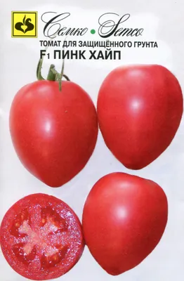 Новинка томатов - Пинк мэджик | Обо всем с Ольгой Петровой | Дзен