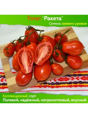 Семена Томат Ракета - купить в магазине ПроСыр