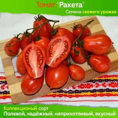 Томат Ракета: описание сорта, ОТЗЫВЫ (16), фото | tomatland.ru