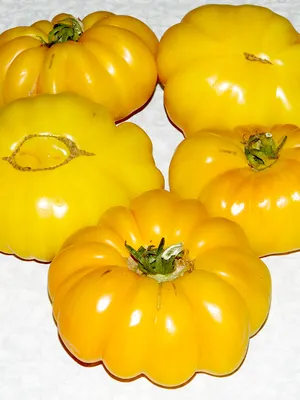 Ребристые томаты – небольшой обзор сортов | probotsad | Дзен