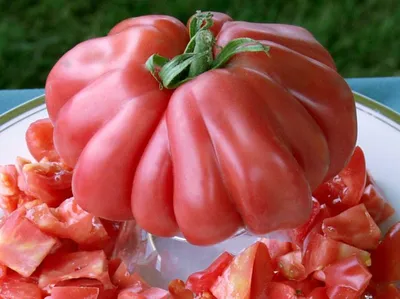В Минусинске выбрали помидор-гигант - Gornovosti.Ru