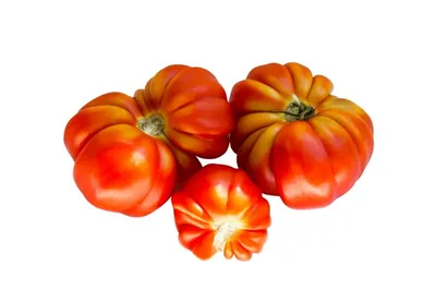 измаильский ребристый жёлтый - Альбомы - tomat-pomidor.com