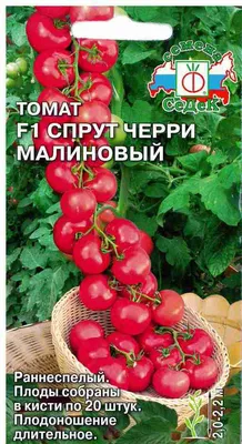 Томаты Седек карточкаТоматСедек. - купить по выгодным ценам в  интернет-магазине OZON (802984312)