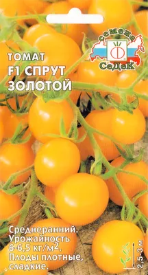 Купить Семена - Томат Спрут Черри F1, 0,1 г. ❱❱ ТД Дарвин ❰❰❰